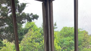 A corner of a room with a wooden floor, a window with a view of green trees, and a potted plant on the windowsill. -  Oceanfront Classic Cottage (Salvo)