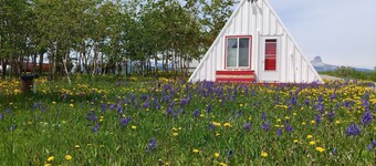 A-Frame Hiker's Retreat