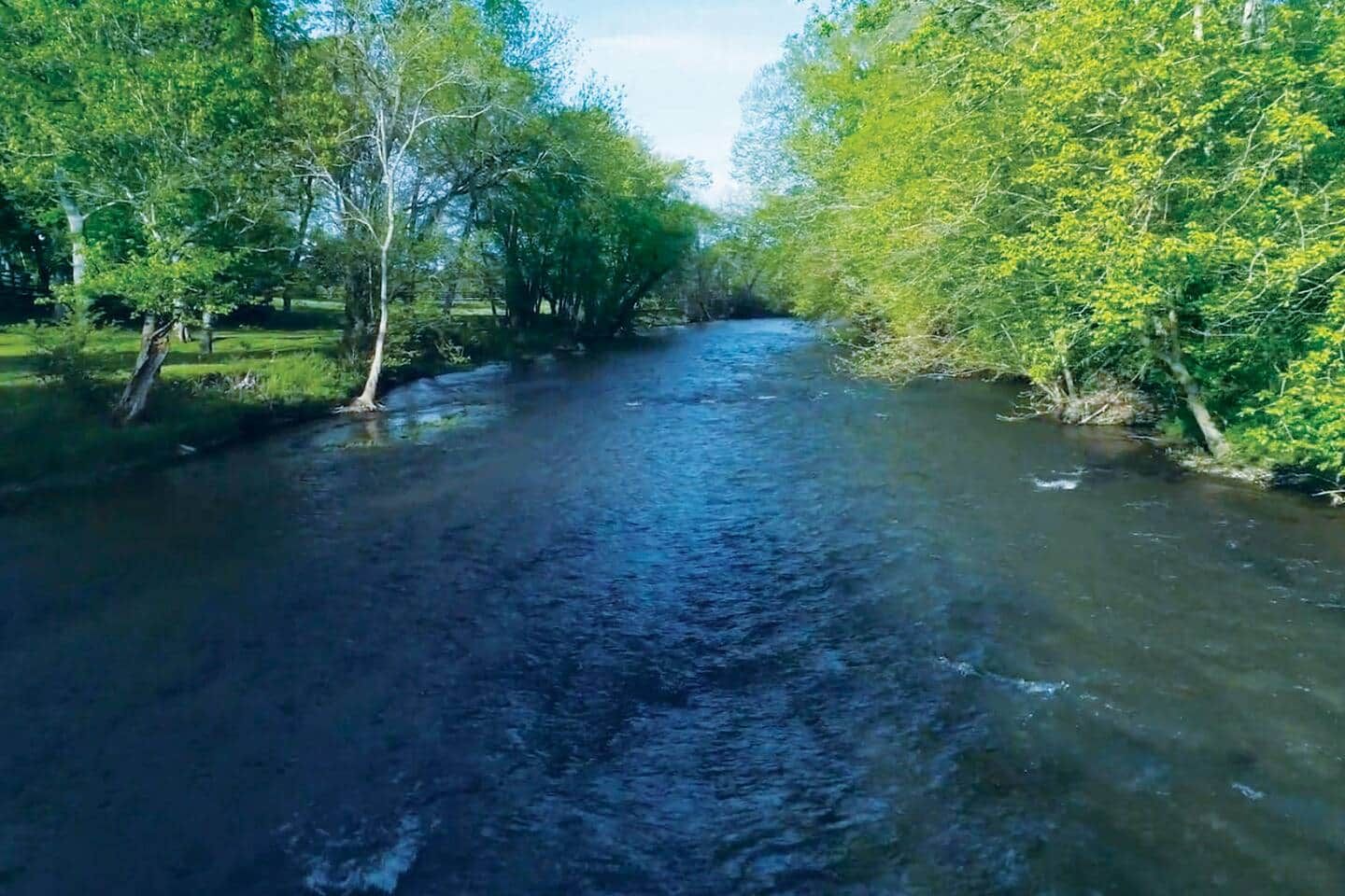 A river flowing through a wooded area with trees on both sides.