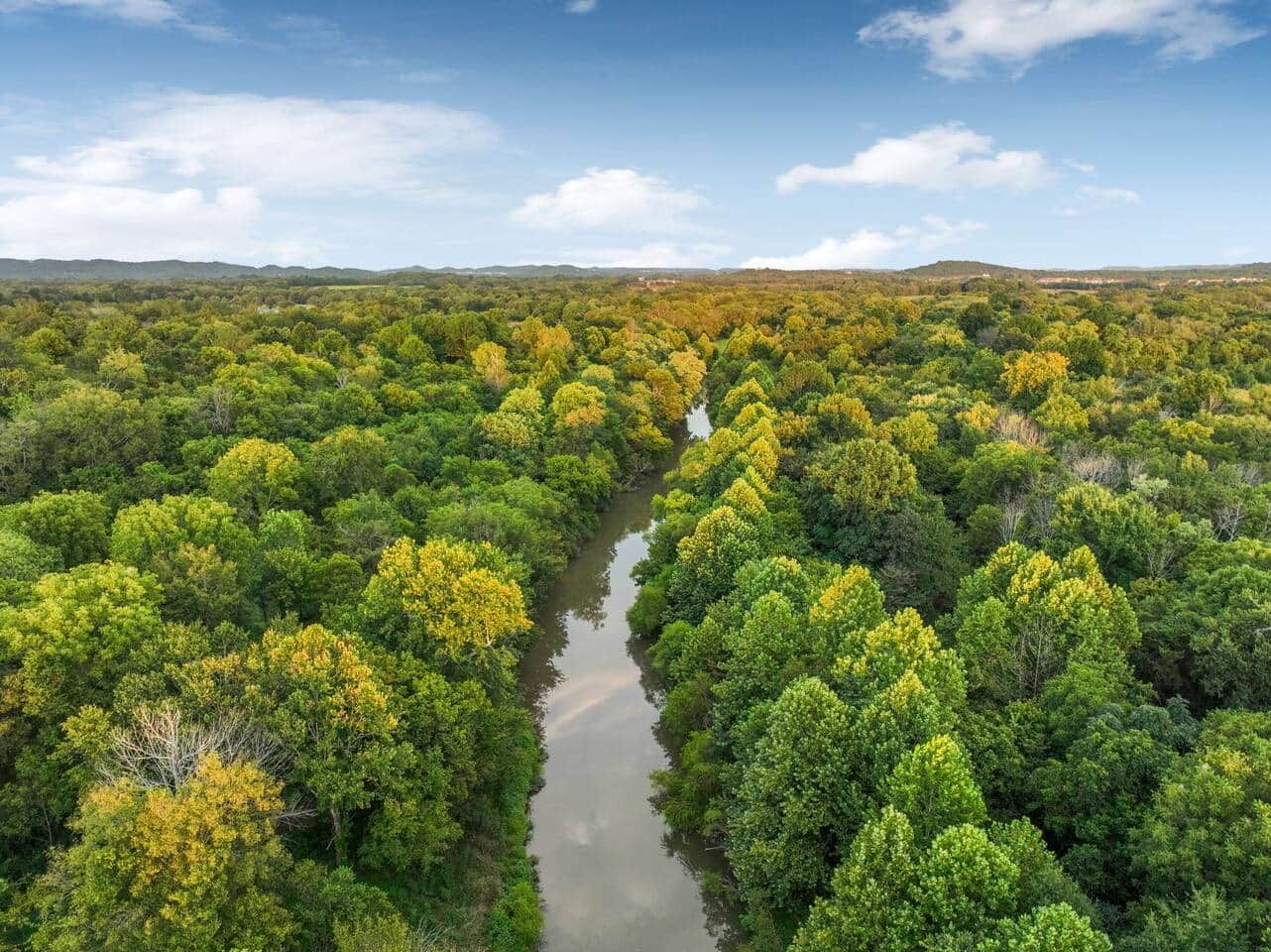 Ein Fluss schlängelt sich durch einen dichten Wald, über ihm ein klarer Himmel.