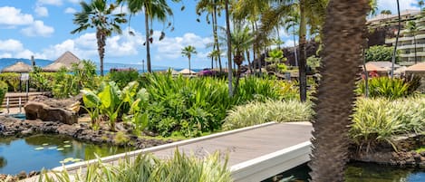 Un resort con piscina, palmeras y un puente.