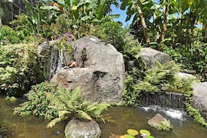 Jardines del alojamiento