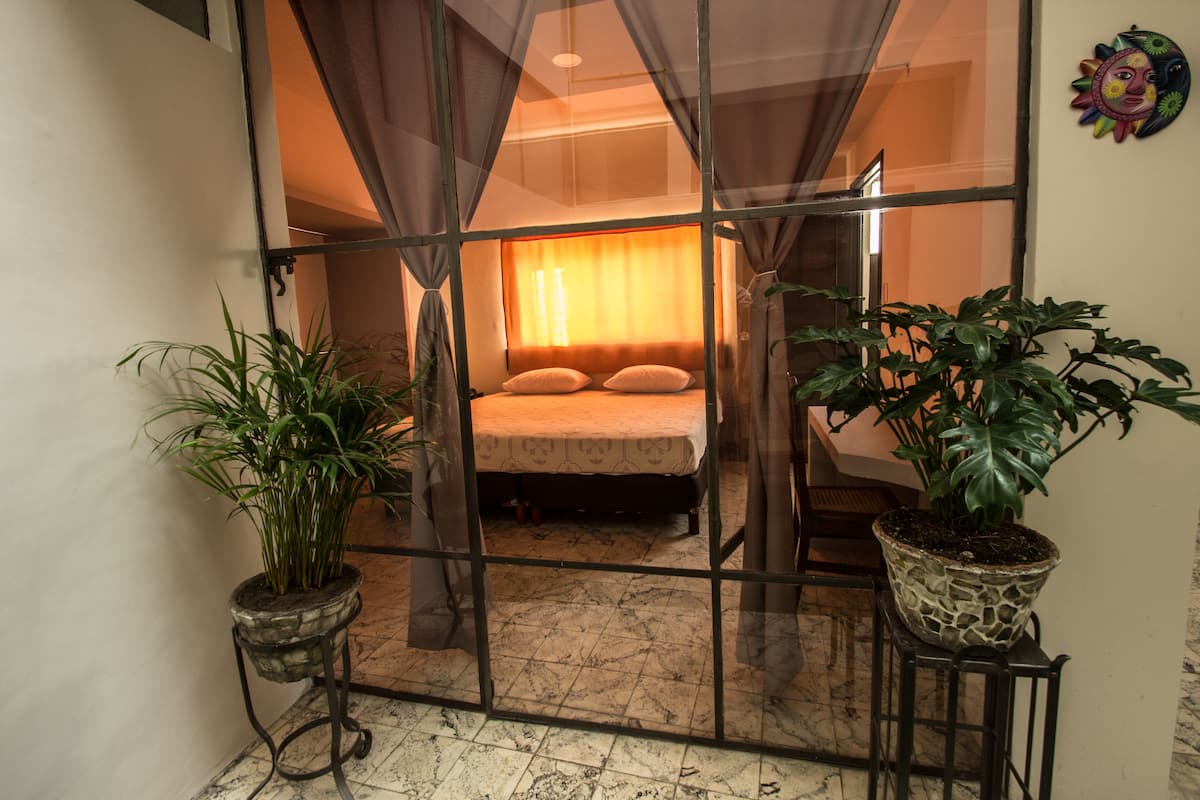 Un dormitorio con cama, cortinas y dos plantas en macetas.