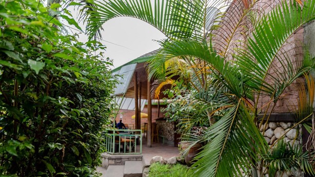Un sendero en un jardín tropical que lleva a un edificio con pared de piedra y palmeras.