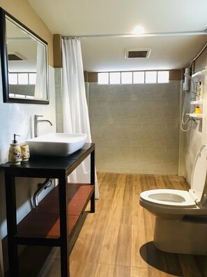 Hair dryer, towels, shampoo, toilet paper