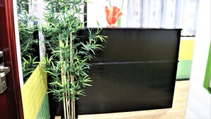 A room with a black cabinet, a green plant, and a yellow curtain. - Super Guest House (Kowloon)