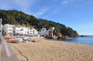 Beach - Apartment in a beautiful cove in Costa Brava (Tamariu) (Tamariu)