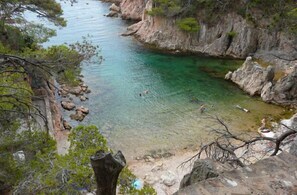 Beach - Apartment in a beautiful cove in Costa Brava (Tamariu) (Tamariu)
