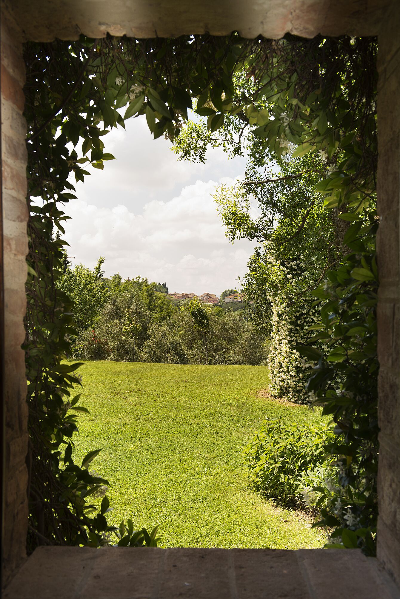 Parco della struttura