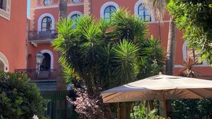 A courtyard with outdoor seating, palm trees, and a building with arched windows. - Albergo Pietrasanta (Pietrasanta)