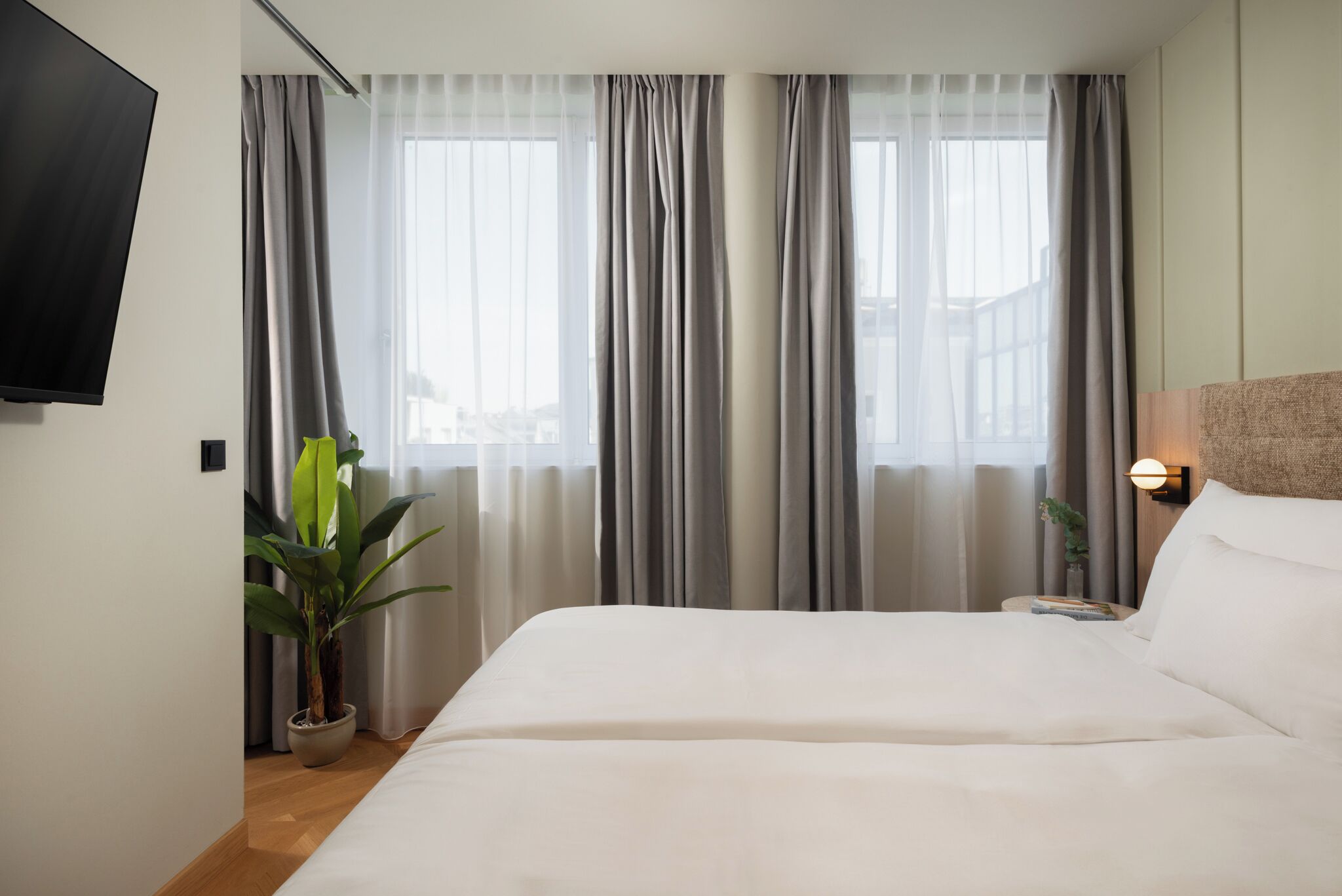 A hotel room with a large bed, a flat-screen TV mounted on the wall, and a potted plant.