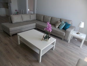 Appartamento Deluxe | Soggiorno | TV a schermo piatto