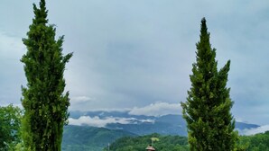 Un paisaje rural con dos altos árboles de hoja perenne, un farol y un camino que lleva a una casa al fondo.