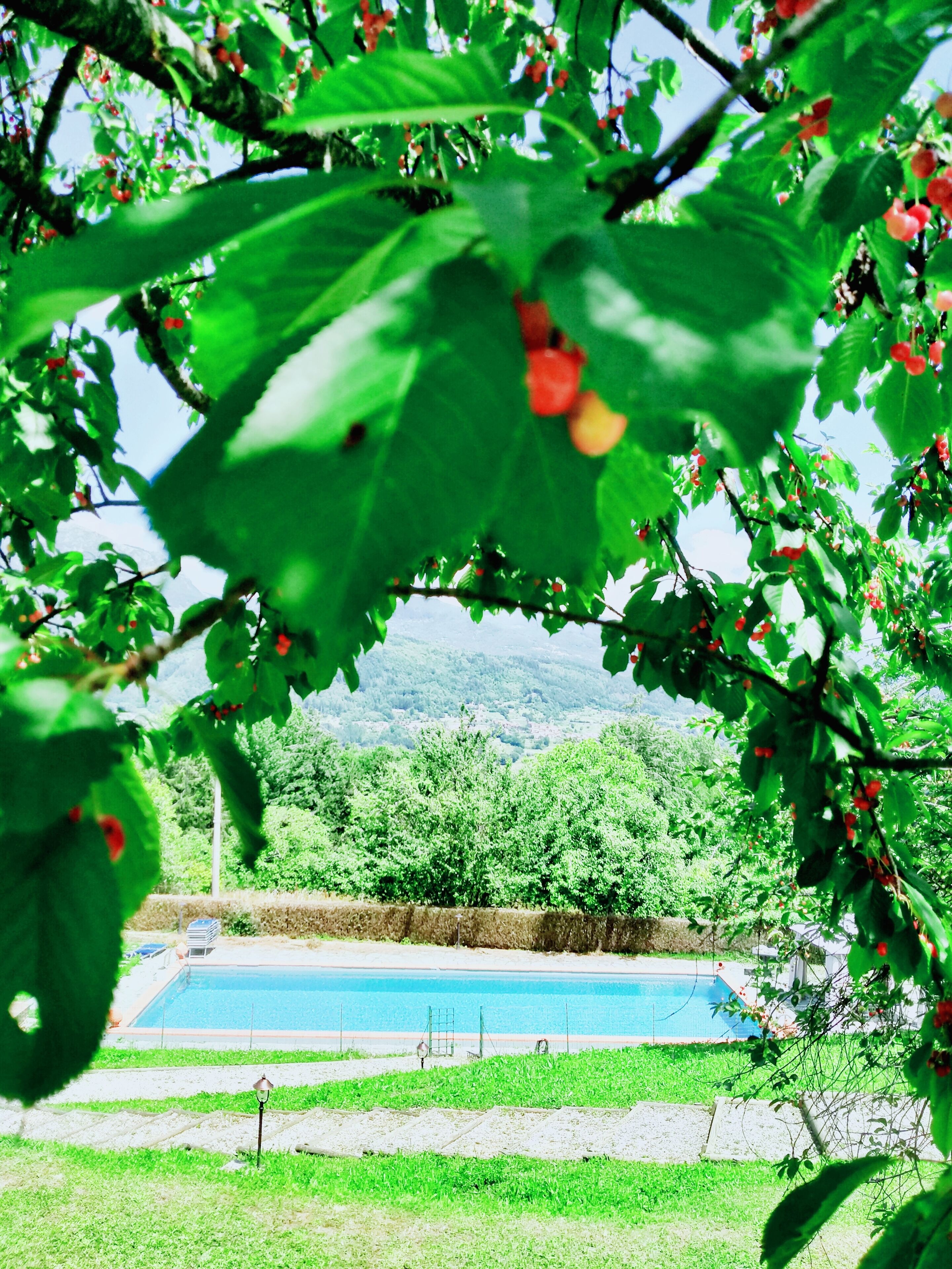 季節限定屋外プール