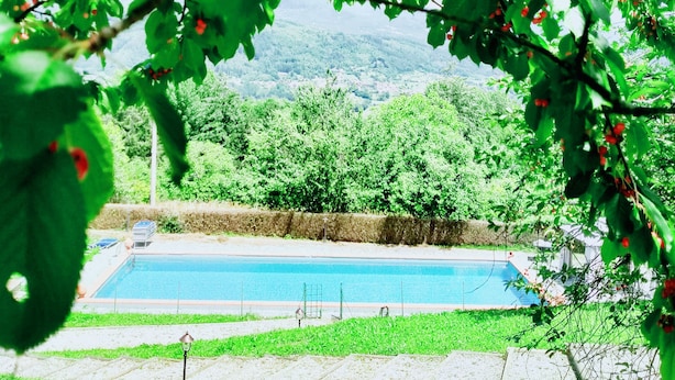 Una piscina rodeada de abundante vegetación y montañas al fondo.