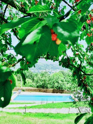 Seasonal outdoor pool - Agriturismo Borgo Biaia (Camporgiano)