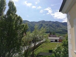 View from room - Apartment Heiligenkreuz (Micheldorf in Oberoesterreich)