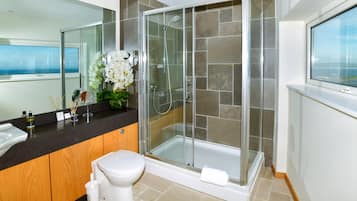 A modern bathroom with a glass-enclosed shower, a white toilet, and a large mirror.