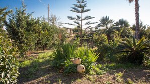 Un giardino con diverse piante e alberi, tra cui una palma alta e un conifero.