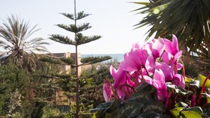 Un giardino con fiori rosa e un albero alto.