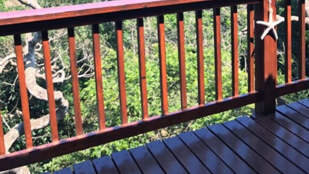 Um deck de madeira com corrimão, com vista para uma paisagem costeira coberta por vegetação densa e o oceano.