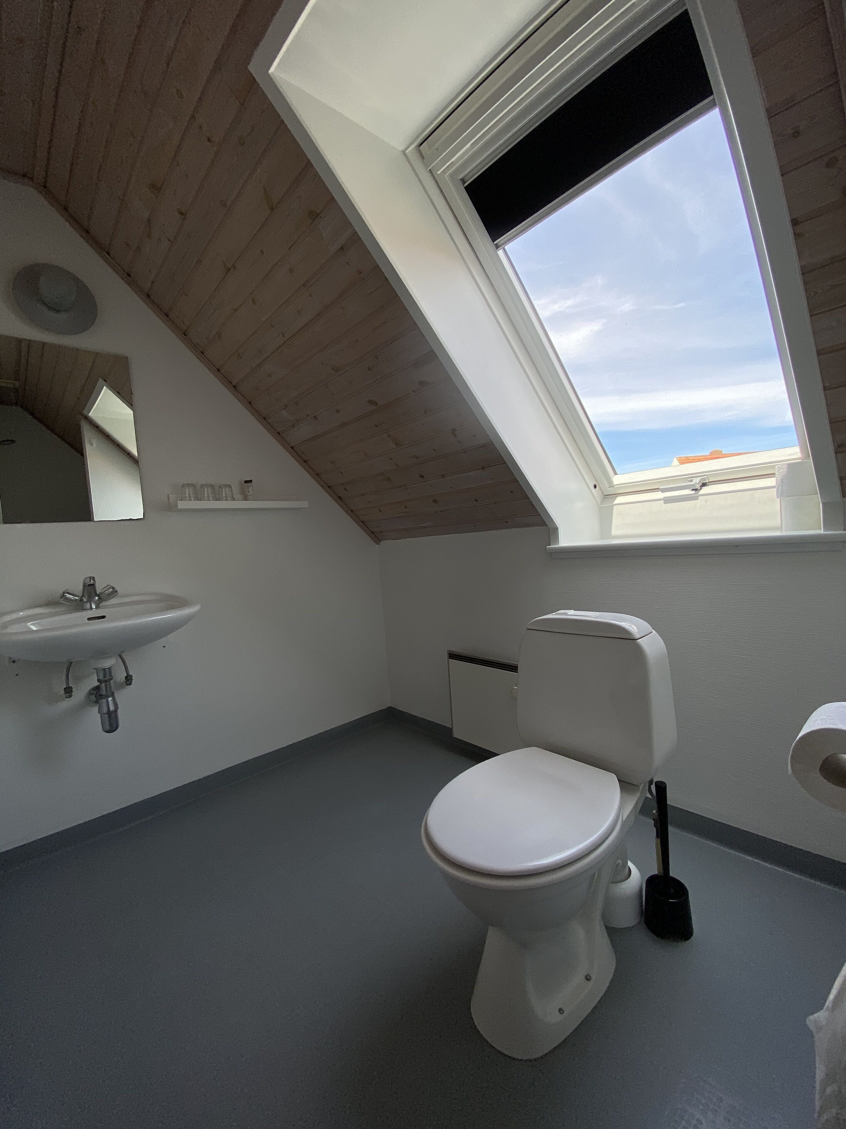 A small, modern bathroom with a skylight, a sink, a toilet, and a mirror.