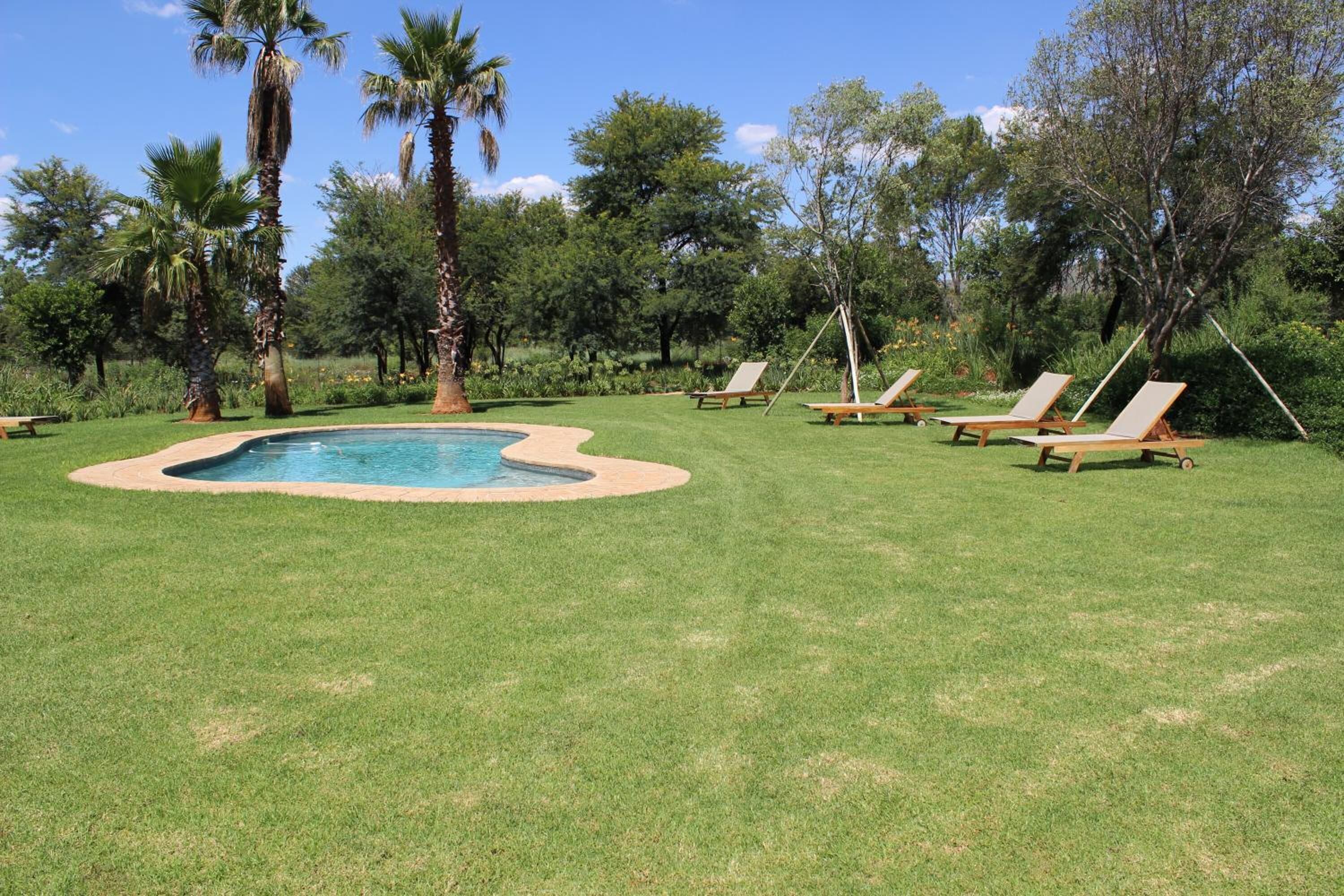 A pool surrounded by grass, palm trees, and lounge chairs.