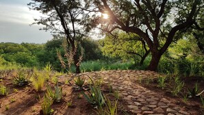 A stone pathway leading through a natural landscape with trees and greenery. - Esther's Country Lodge (Magaliesberg)