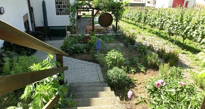 Ferienweingut Hirschen Schulstrasse