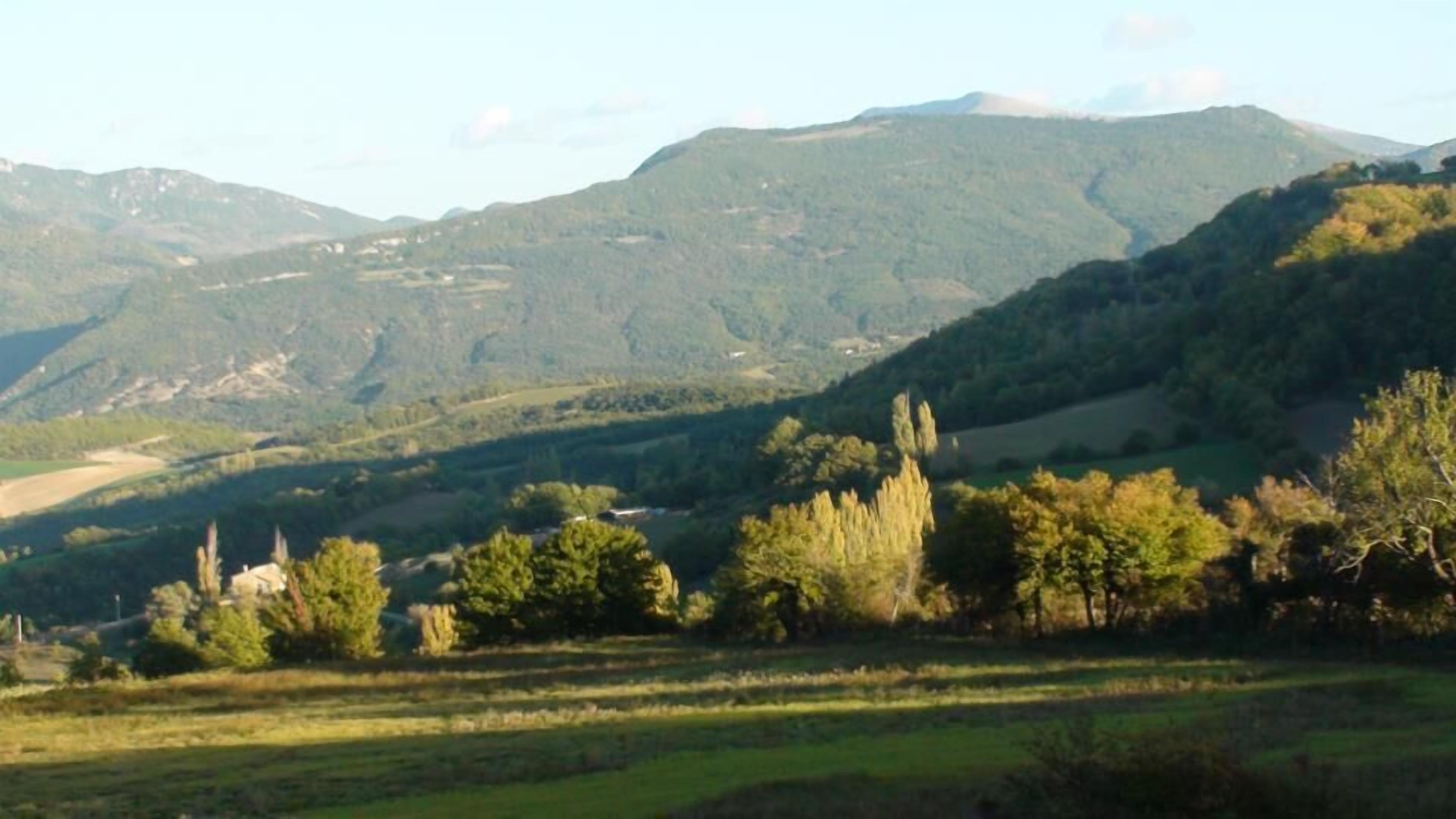 A mountainous landscape with rolling hills and scattered trees.