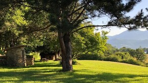 A grassy field with a stone structure and a large tree. - Week end en Provence - Chambres d'hotes (Comps)