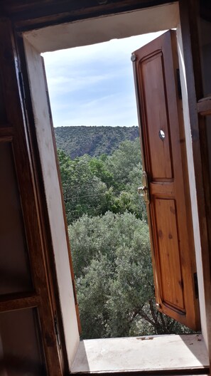 Traditional Double or Twin Room, Multiple Beds, Private Bathroom, Mountain View | View from room - Ecolodge Tamount (Demnate)