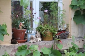 Detalle exterior