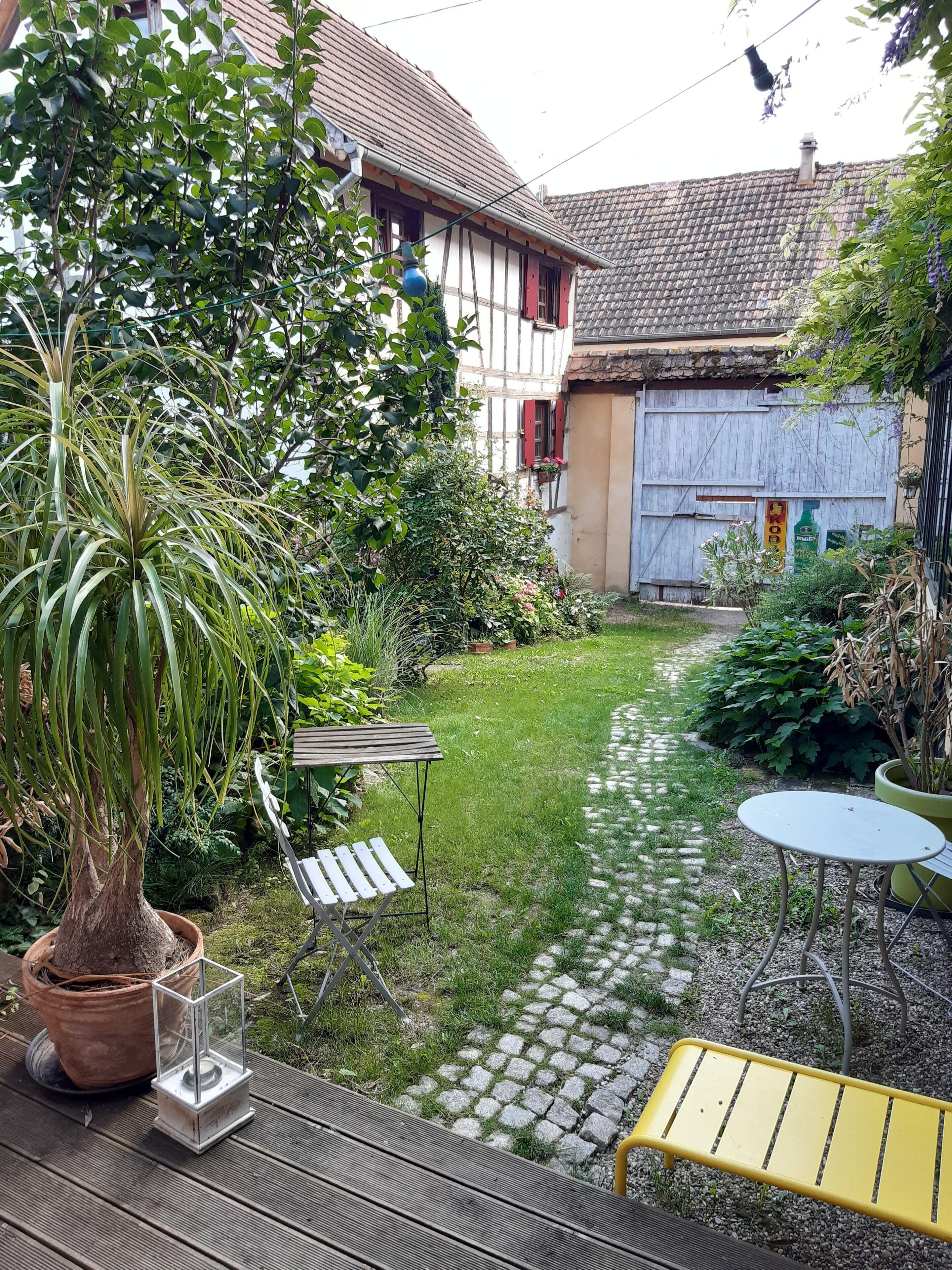 Un jardín con terraza de madera, una planta en maceta y un banco amarillo.