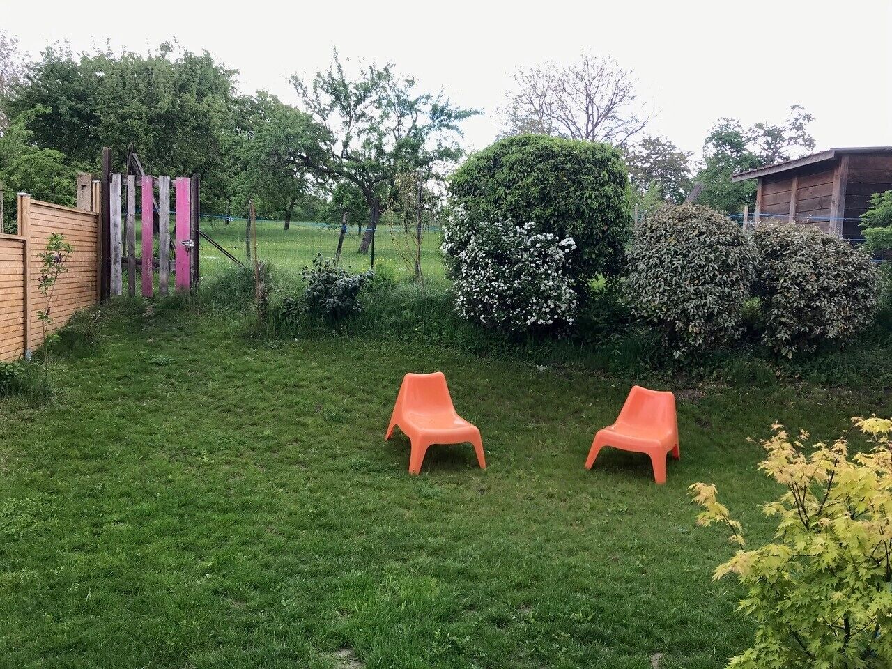 Un patio trasero con césped, dos sillas naranjas, una valla de madera y varios arbustos y árboles.