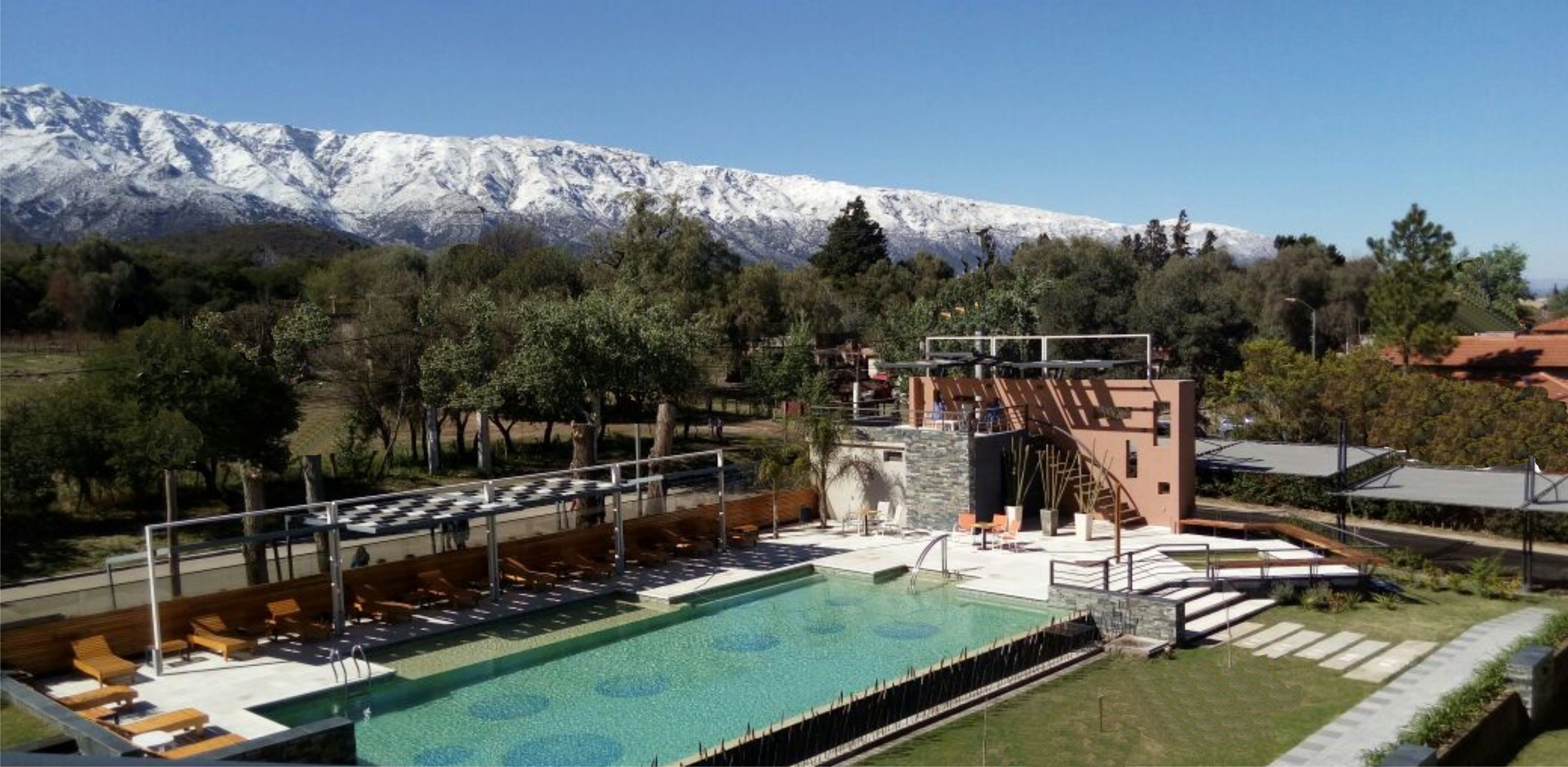 outdoor pool, pool loungers