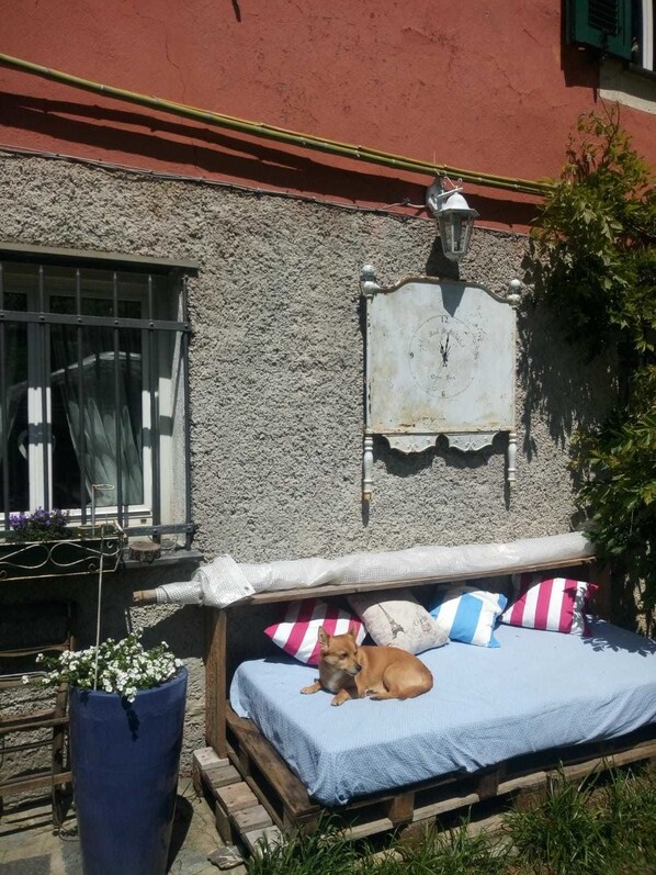 Exteriör