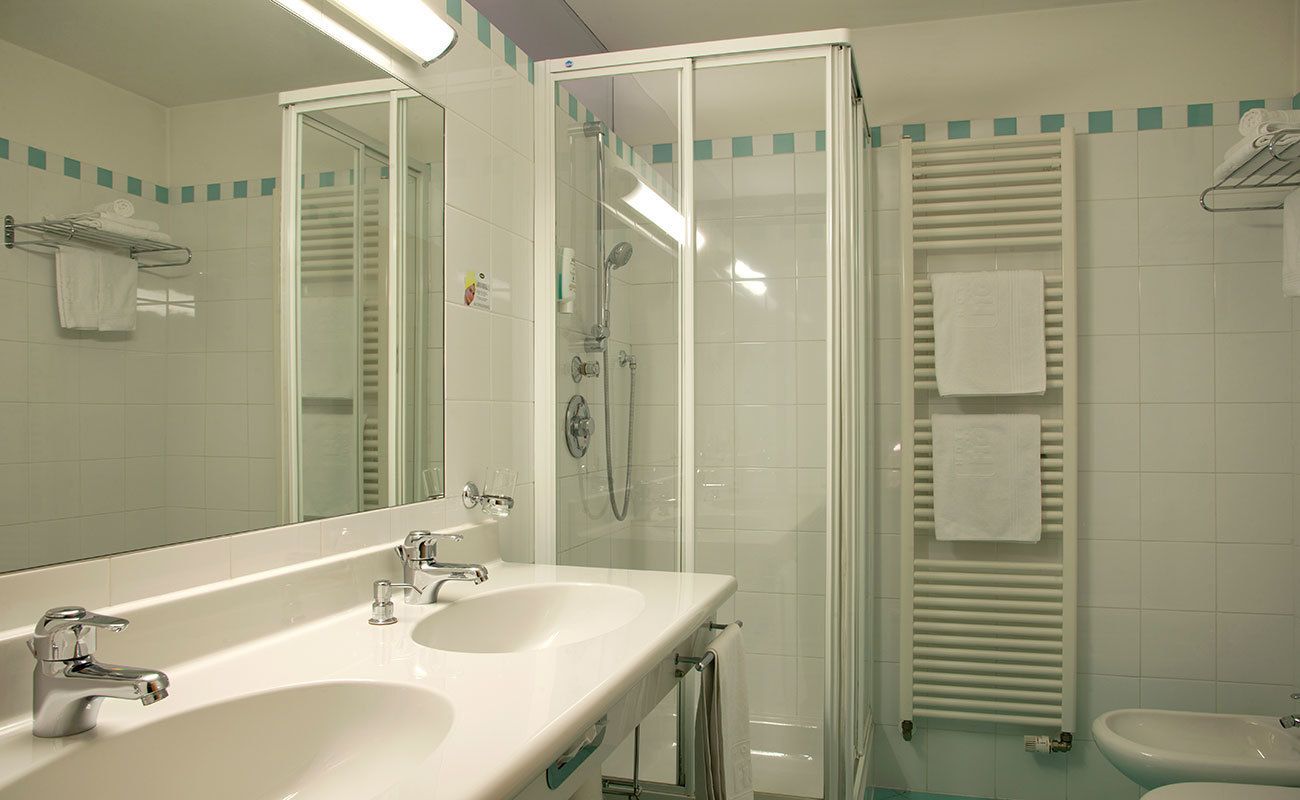 hair dryer, bidet, towels