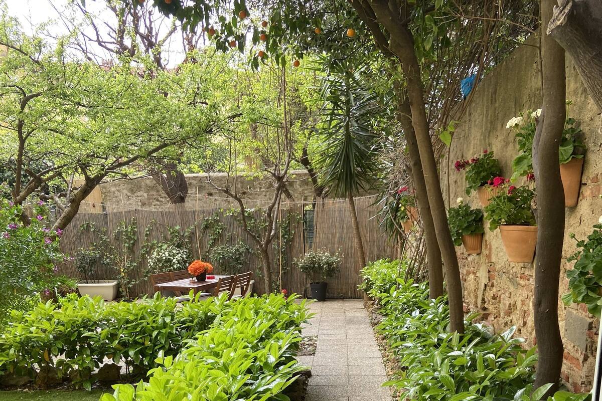A garden pathway with a stone border, surrounded by lush green plants and trees.
