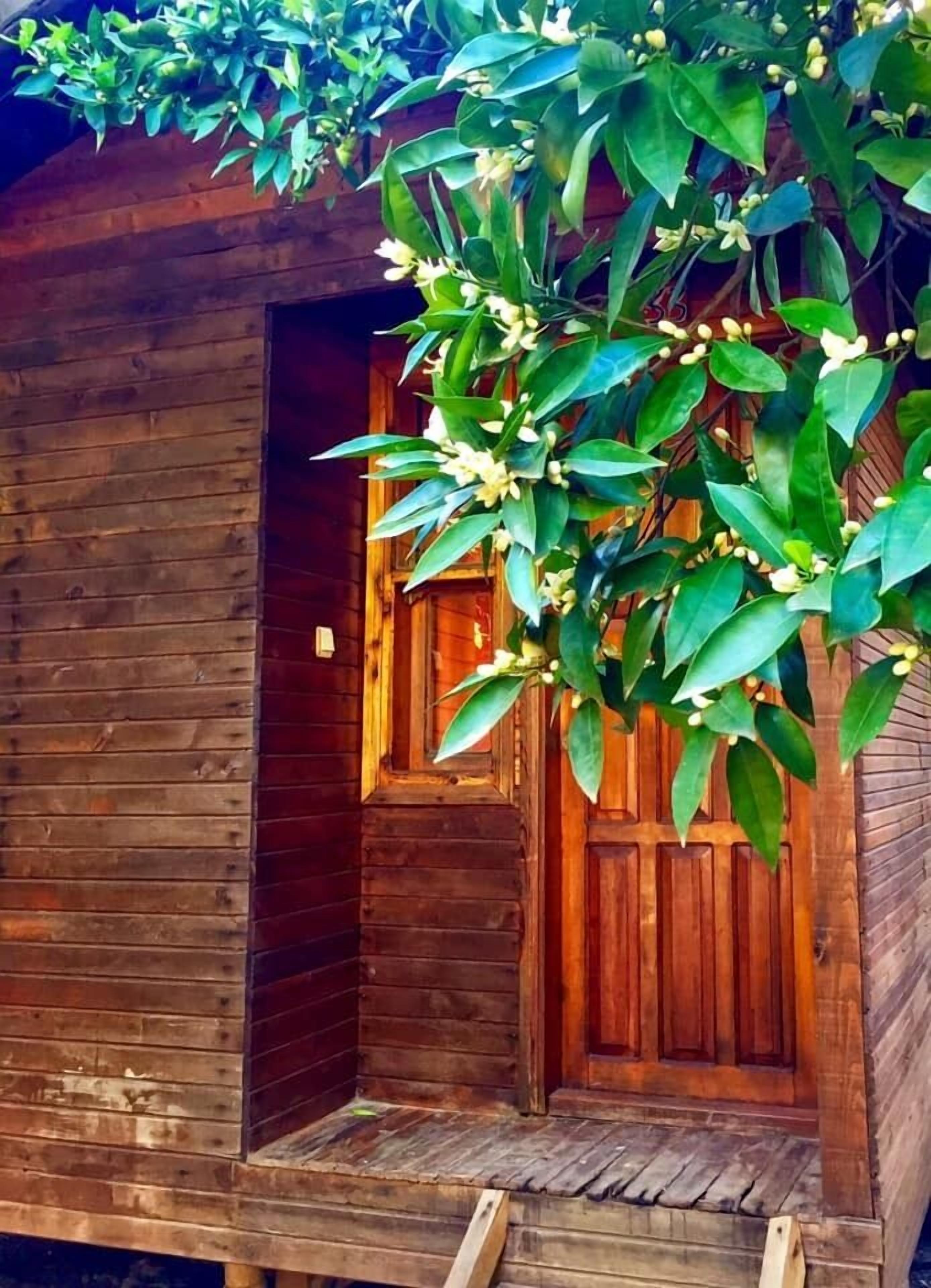 Quarto casal básico, vista para o jardim | Quartos à prova de som, roupa de cama