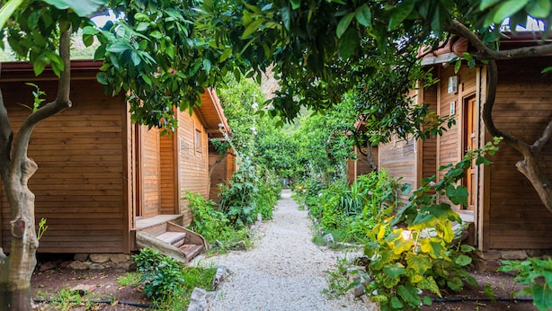 Un sendero que conduce a cabañas de madera rodeadas de exuberante vegetación.
