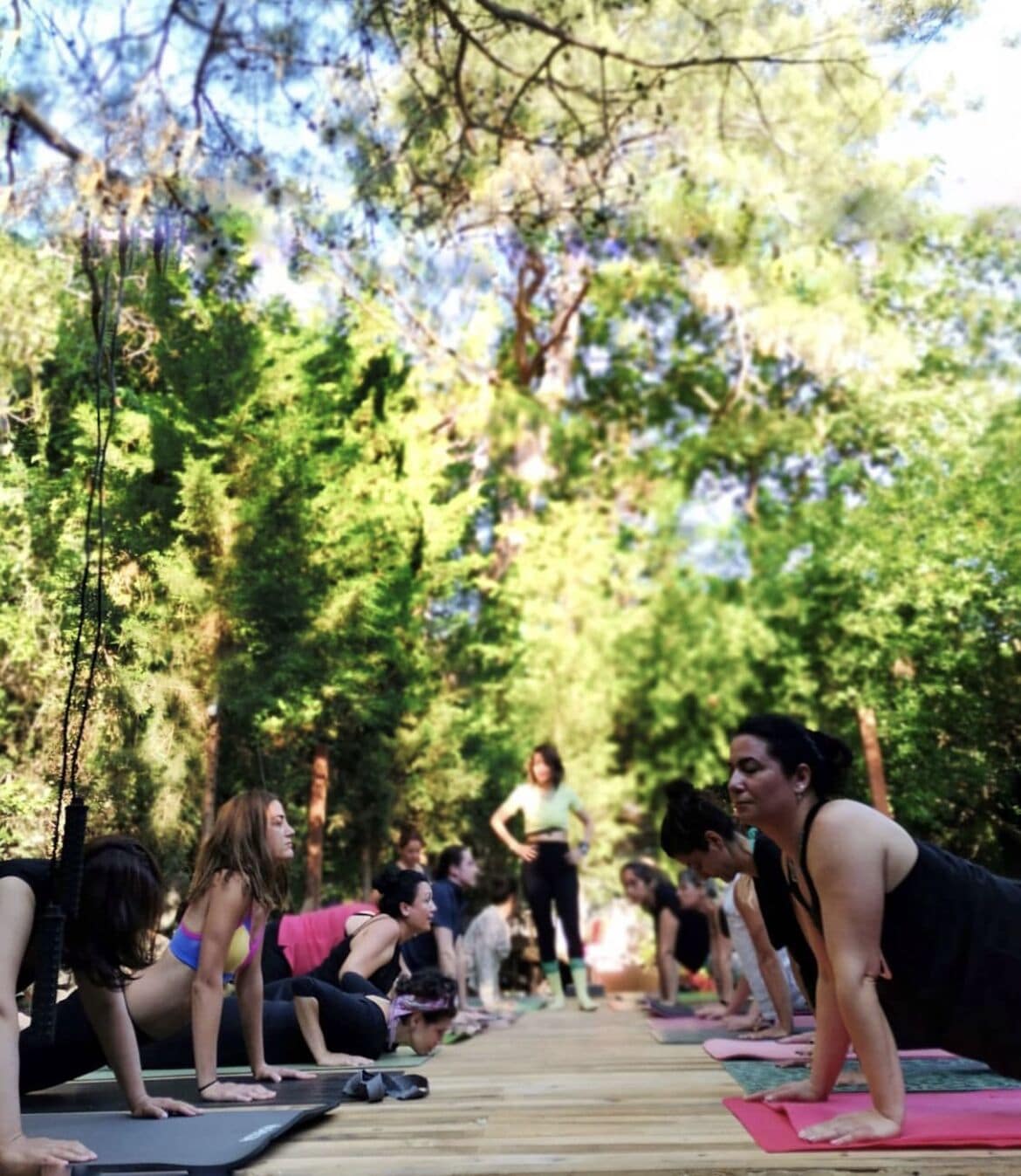 A group of people doing yoga on mats in an outdoor setting with trees in the background.