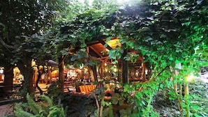 Un jardín interior con una estructura de madera, bancos y helechos.