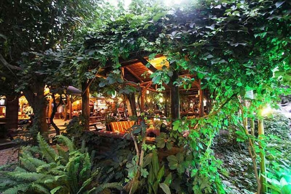 Jardín