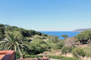 A coastal landscape with dense greenery, a clear blue sky, and a view of the sea. - Casa Roberta (Capoliveri)