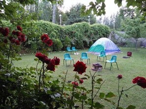 BBQ/picnic area - Baltistan village Guest House Skardu (Skardu)