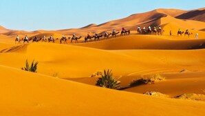 A group of people riding camels across a desert landscape with sand dunes. - Merzouga Experience Camp (Taouz)