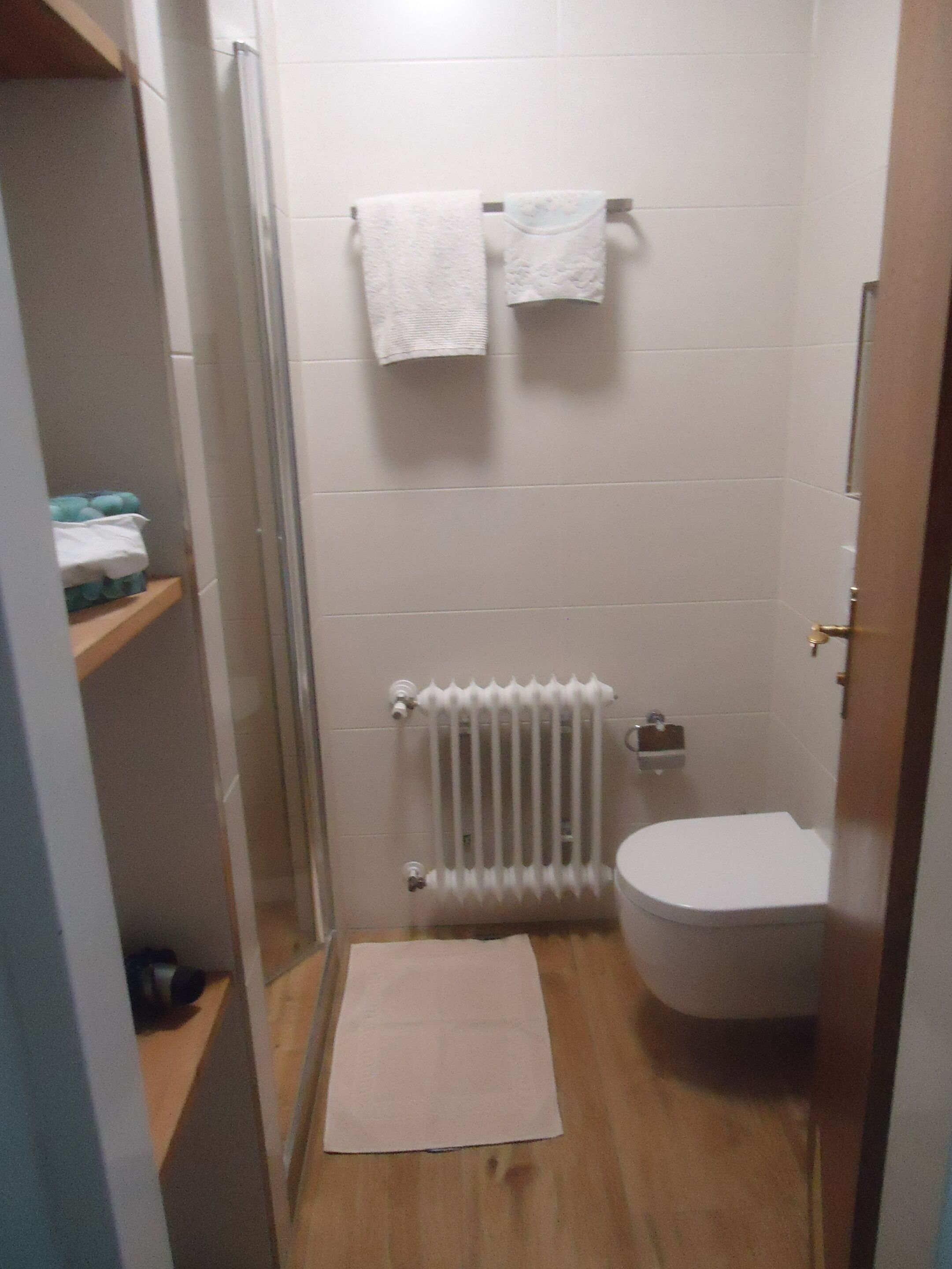 Ein kleines, schmales Badezimmer mit Toilette, Heizkörper und Dusche. Zwei weiße Handtücher hängen über der Toilette an einem Wäscheständer.
