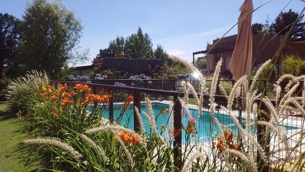 A swimming pool surrounded by tall grasses and orange flowers, with a view of a building in the background. - Icalma de la Sierra Apart Hotel Tandil (Tandil)