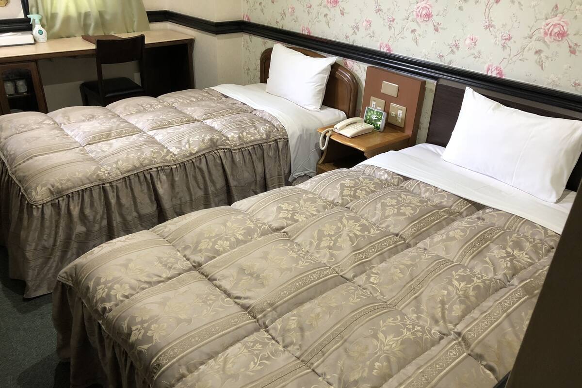Habitación Deluxe con 2 camas individuales, fumadores | Escritorio y espacio para trabajar con un portátil